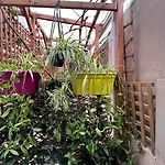 L\'Oasis Montparnasse