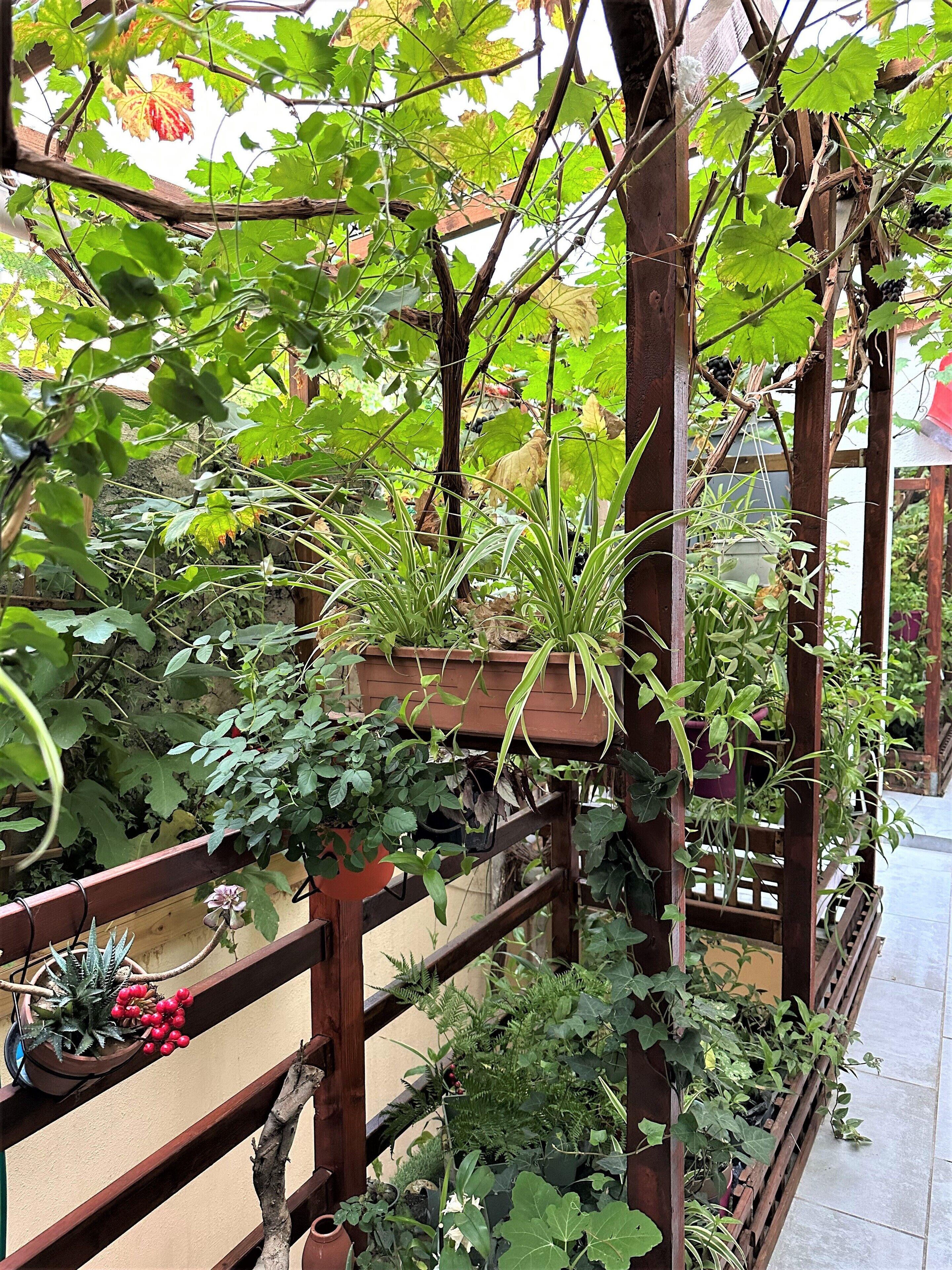 L'oasis Montparnasse Hotel Parigi