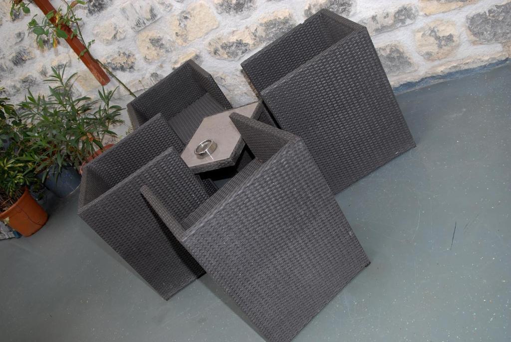 L'oasis Montparnasse